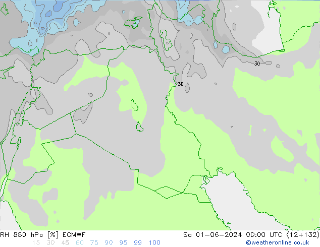 RH 850 гПа ECMWF сб 01.06.2024 00 UTC