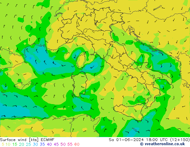 Bodenwind ECMWF Sa 01.06.2024 18 UTC