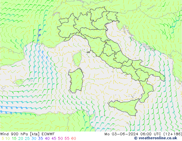 Rüzgar 900 hPa ECMWF Pzt 03.06.2024 06 UTC