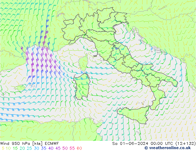 Wind 950 hPa ECMWF za 01.06.2024 00 UTC