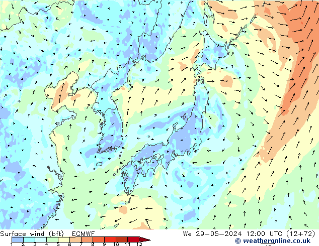 Wind 10 m (bft) ECMWF wo 29.05.2024 12 UTC