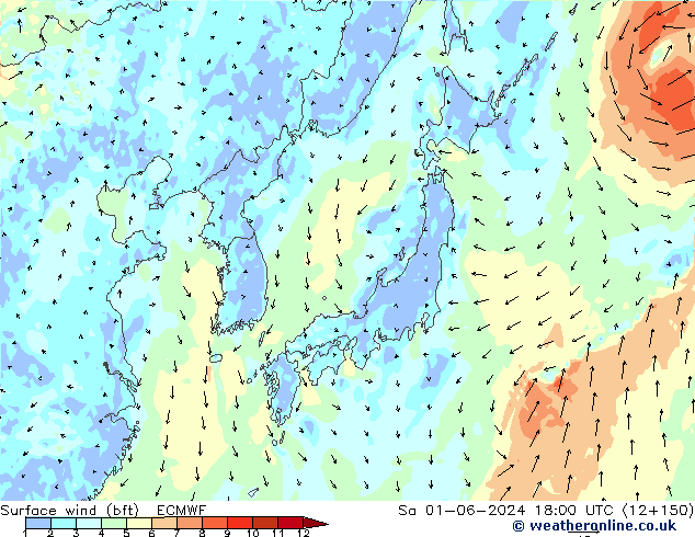 Rüzgar 10 m (bft) ECMWF Cts 01.06.2024 18 UTC