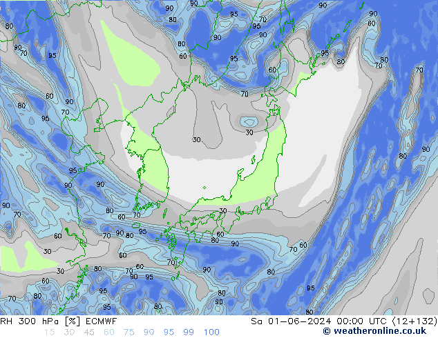 RH 300 гПа ECMWF сб 01.06.2024 00 UTC