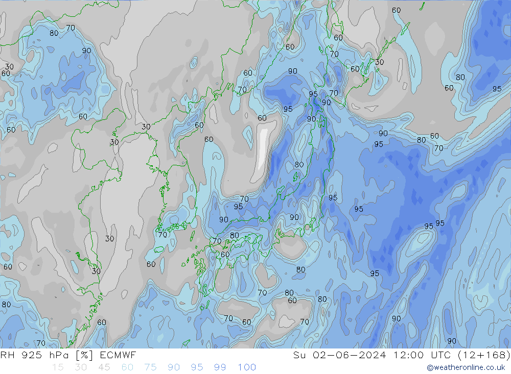 RH 925 hPa ECMWF  02.06.2024 12 UTC