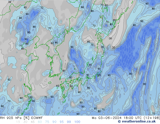 925 hPa Nispi Nem ECMWF Pzt 03.06.2024 18 UTC