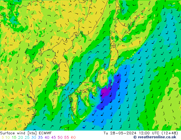 Surface wind ECMWF Tu 28.05.2024 12 UTC