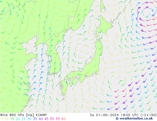 wiatr 850 hPa ECMWF so. 01.06.2024 18 UTC