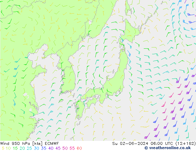 Vento 950 hPa ECMWF dom 02.06.2024 06 UTC