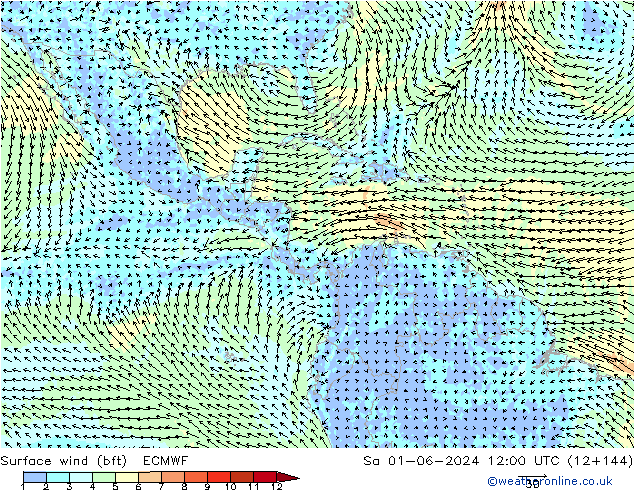 ве�Bе�@ 10 m (bft) ECMWF сб 01.06.2024 12 UTC