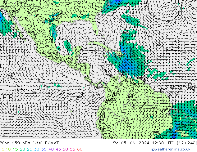 Wind 950 hPa ECMWF wo 05.06.2024 12 UTC