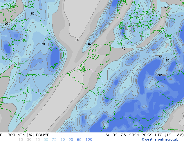 RH 300 hPa ECMWF nie. 02.06.2024 00 UTC