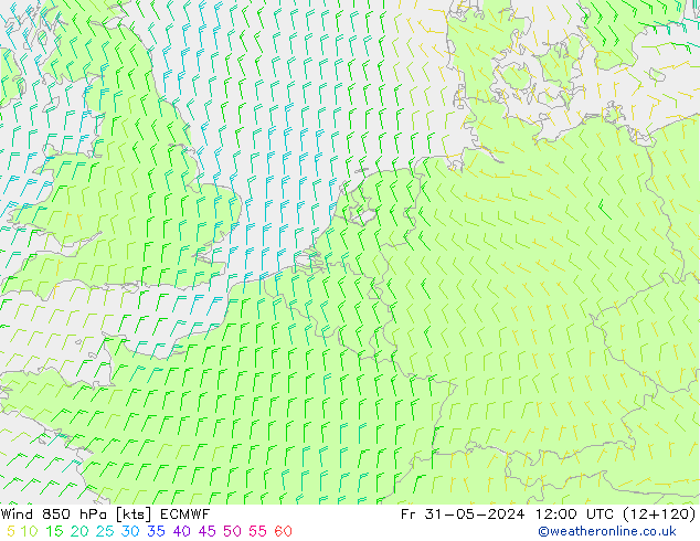  850 hPa ECMWF  31.05.2024 12 UTC