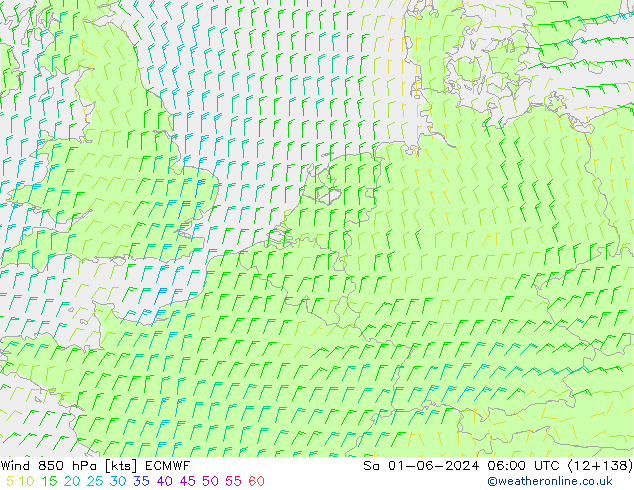 ветер 850 гПа ECMWF сб 01.06.2024 06 UTC