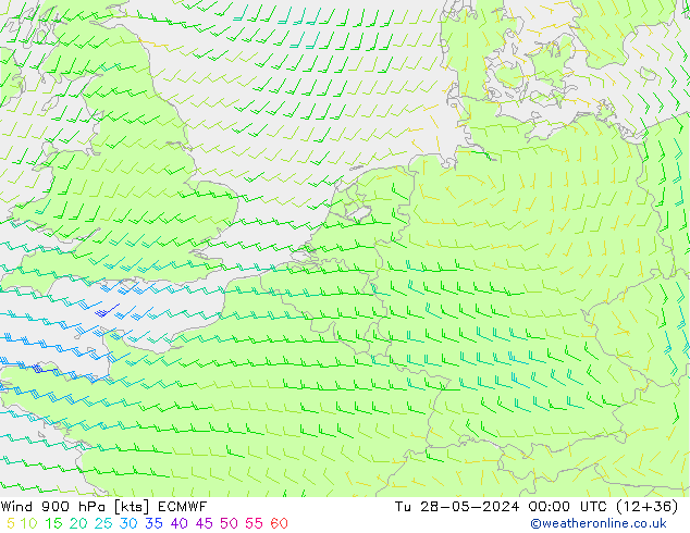 Wind 900 hPa ECMWF Tu 28.05.2024 00 UTC