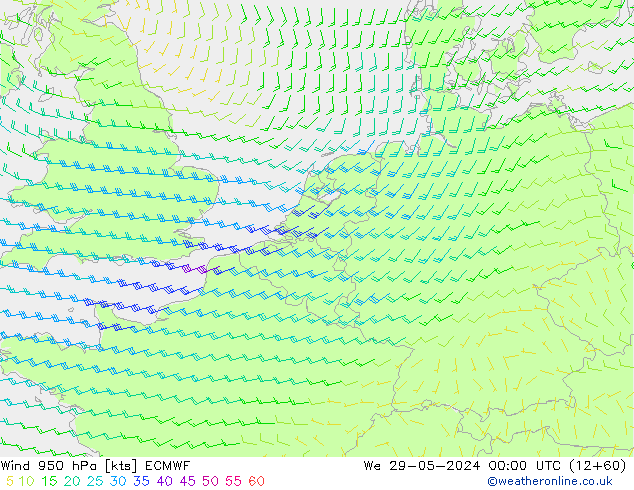 Rüzgar 950 hPa ECMWF Çar 29.05.2024 00 UTC