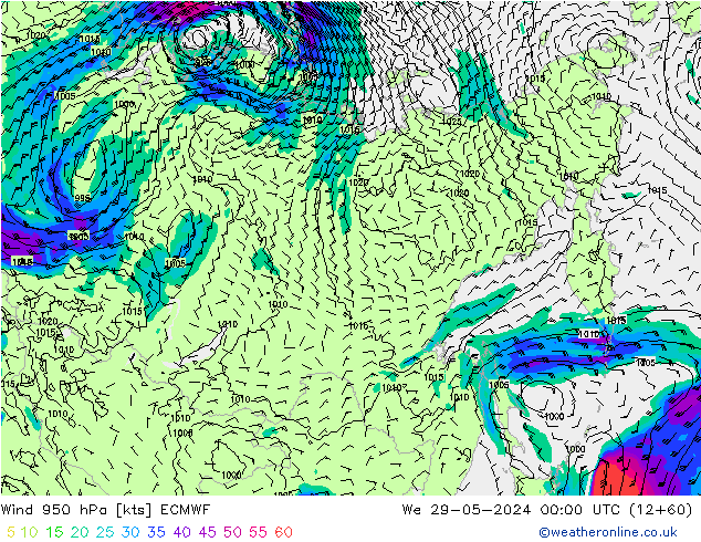 ветер 950 гПа ECMWF ср 29.05.2024 00 UTC