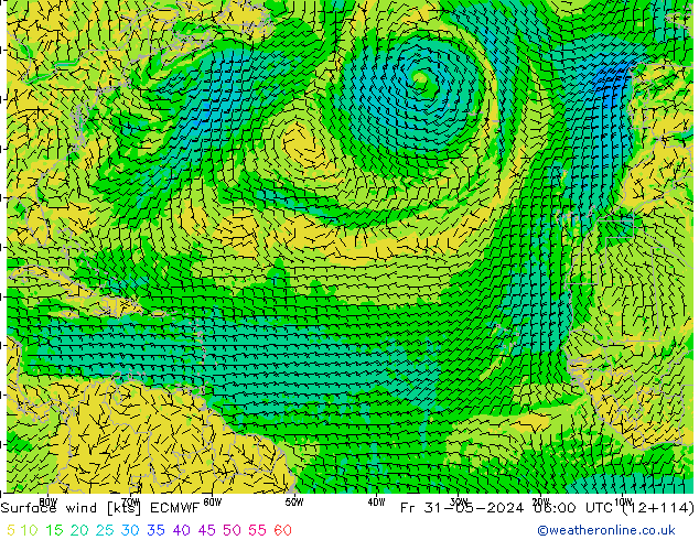 Surface wind ECMWF Fr 31.05.2024 06 UTC