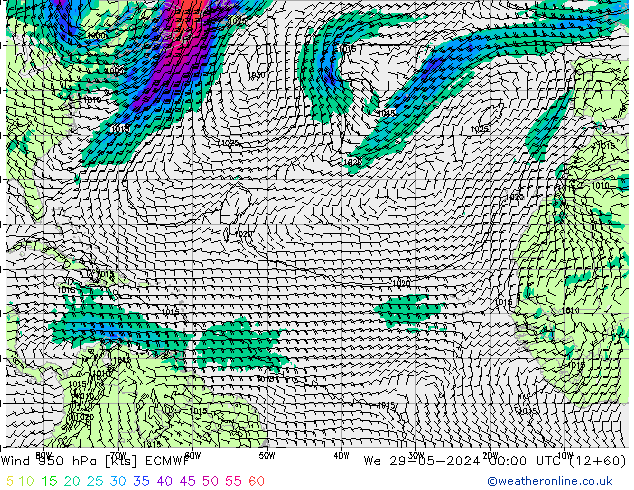 Wind 950 hPa ECMWF wo 29.05.2024 00 UTC