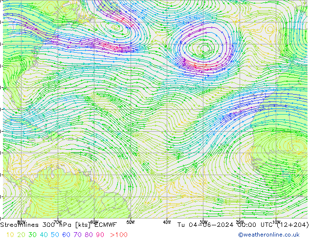 Linha de corrente 300 hPa ECMWF Ter 04.06.2024 00 UTC