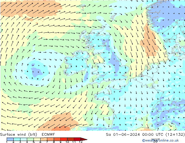 Surface wind (bft) ECMWF Sa 01.06.2024 00 UTC