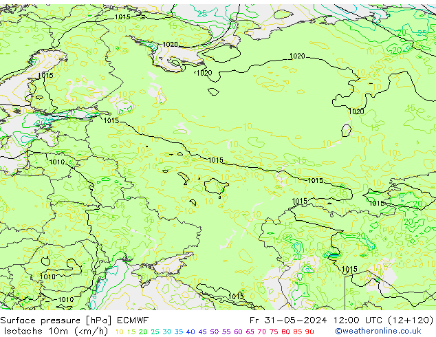 Izotacha (km/godz) ECMWF pt. 31.05.2024 12 UTC