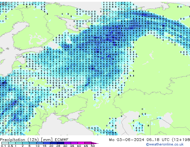 Yağış (12h) ECMWF Pzt 03.06.2024 18 UTC