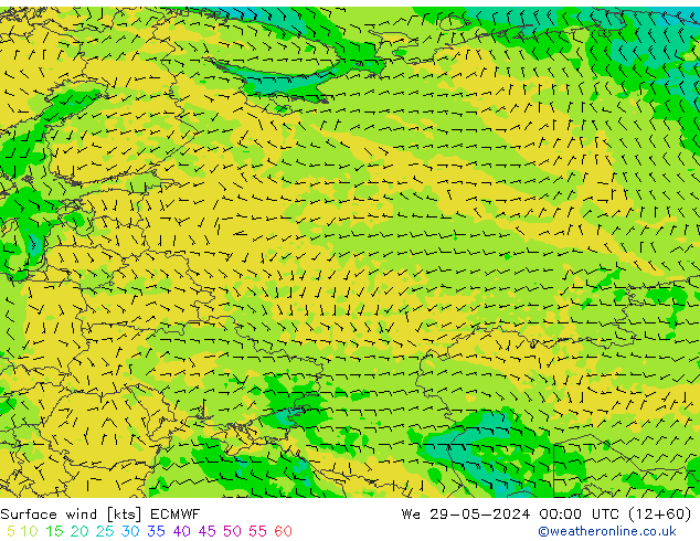 Surface wind ECMWF We 29.05.2024 00 UTC