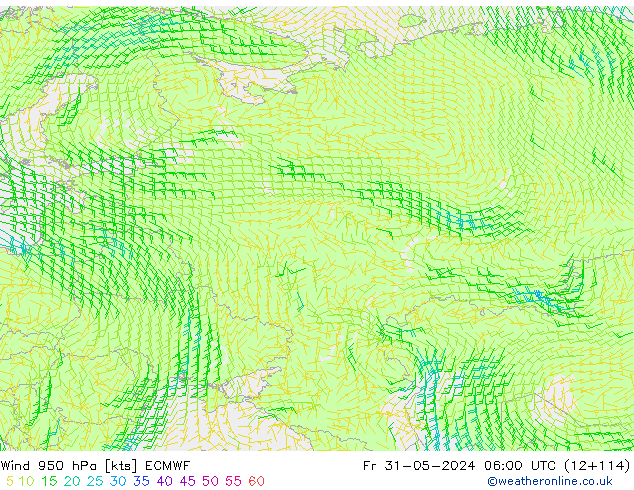 Wind 950 hPa ECMWF Pá 31.05.2024 06 UTC