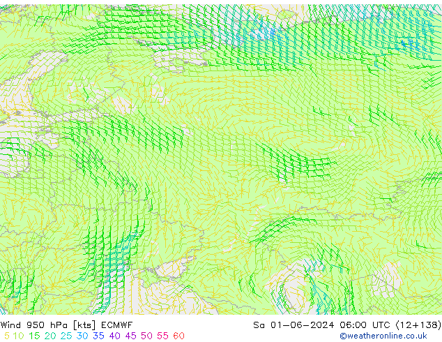 wiatr 950 hPa ECMWF so. 01.06.2024 06 UTC