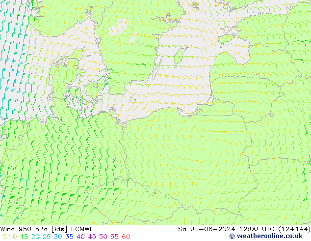 Wind 950 hPa ECMWF za 01.06.2024 12 UTC