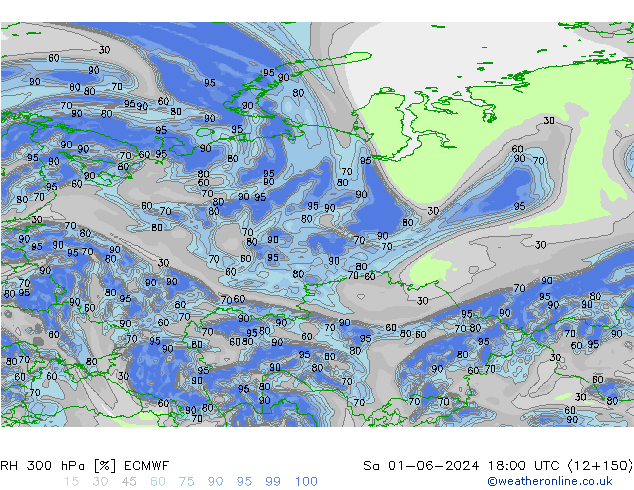 RH 300 hPa ECMWF sab 01.06.2024 18 UTC