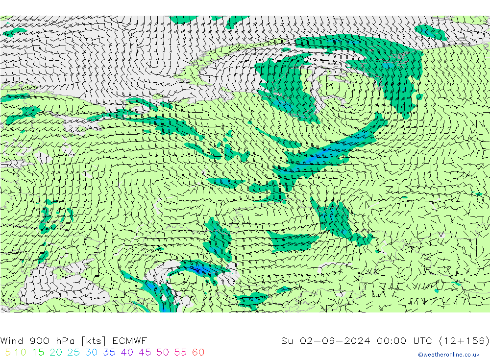 Rüzgar 900 hPa ECMWF Paz 02.06.2024 00 UTC