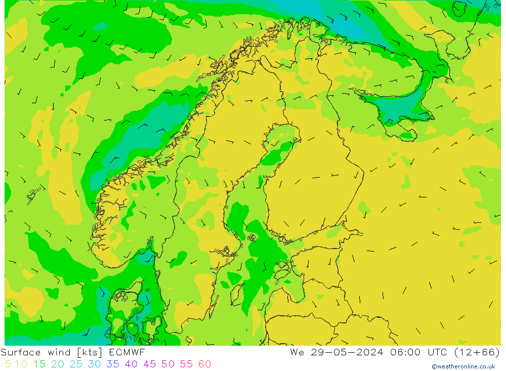 Surface wind ECMWF We 29.05.2024 06 UTC