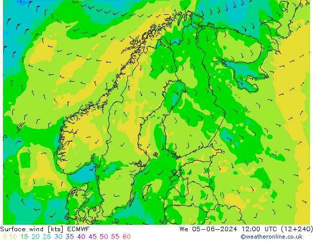 Wind 10 m ECMWF wo 05.06.2024 12 UTC