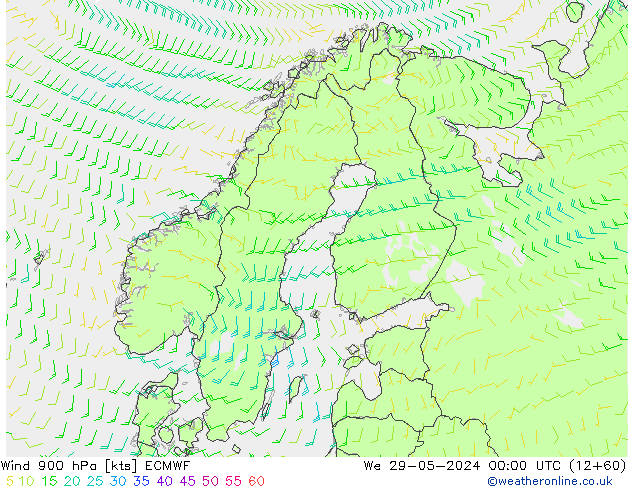 Wind 900 hPa ECMWF Mi 29.05.2024 00 UTC