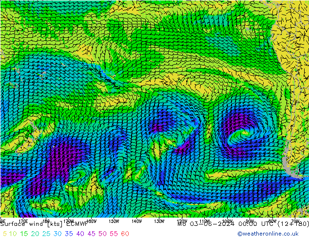 Wind 10 m ECMWF ma 03.06.2024 00 UTC