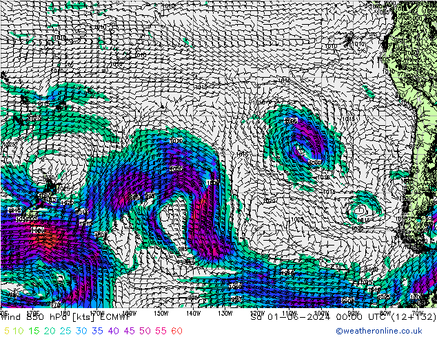 Wind 850 hPa ECMWF Sa 01.06.2024 00 UTC