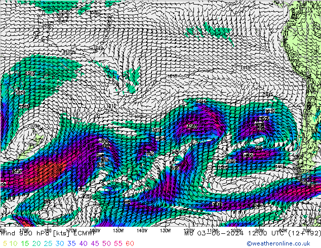 Wind 950 hPa ECMWF Mo 03.06.2024 12 UTC