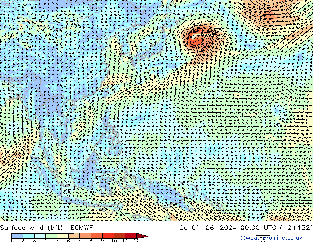 Surface wind (bft) ECMWF Sa 01.06.2024 00 UTC
