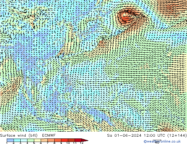 Rüzgar 10 m (bft) ECMWF Cts 01.06.2024 12 UTC