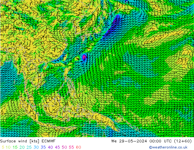 Prec 6h/Wind 10m/950 ECMWF mer 29.05.2024 00 UTC
