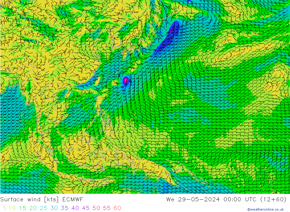 Prec 6h/Wind 10m/950 ECMWF mié 29.05.2024 00 UTC