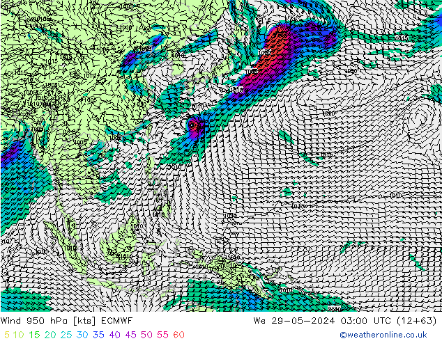 Wind 950 hPa ECMWF wo 29.05.2024 03 UTC