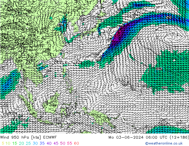 Wind 950 hPa ECMWF Mo 03.06.2024 06 UTC