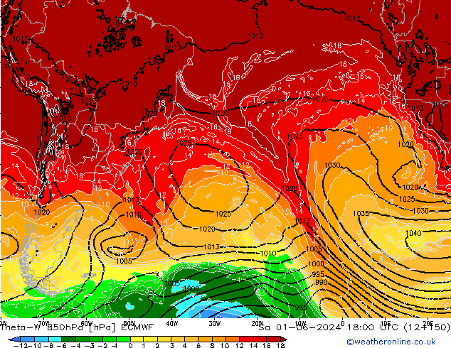 Theta-W 850hPa ECMWF za 01.06.2024 18 UTC