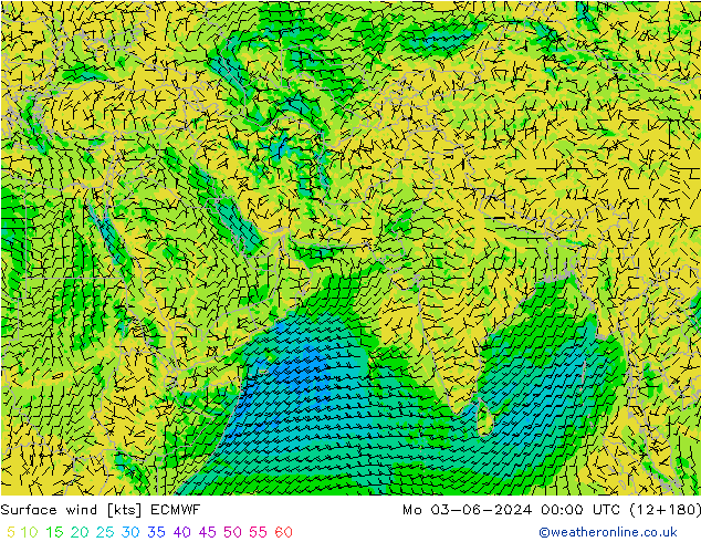 Surface wind ECMWF Po 03.06.2024 00 UTC