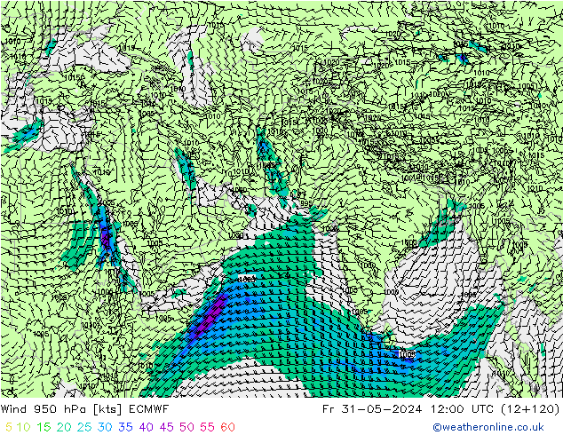 Rüzgar 950 hPa ECMWF Cu 31.05.2024 12 UTC