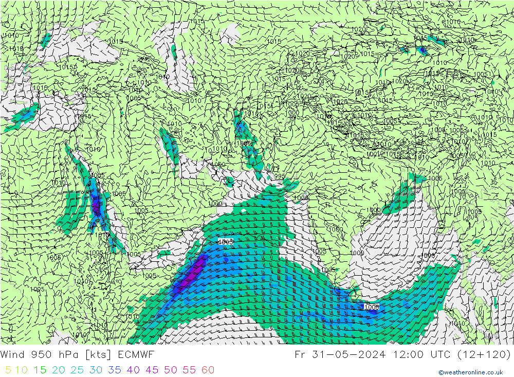 Rüzgar 950 hPa ECMWF Cu 31.05.2024 12 UTC