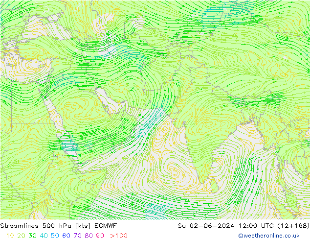 Streamlines 500 hPa ECMWF Ne 02.06.2024 12 UTC