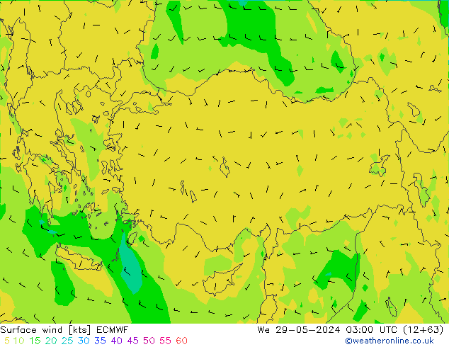 ветер 10 m ECMWF ср 29.05.2024 03 UTC